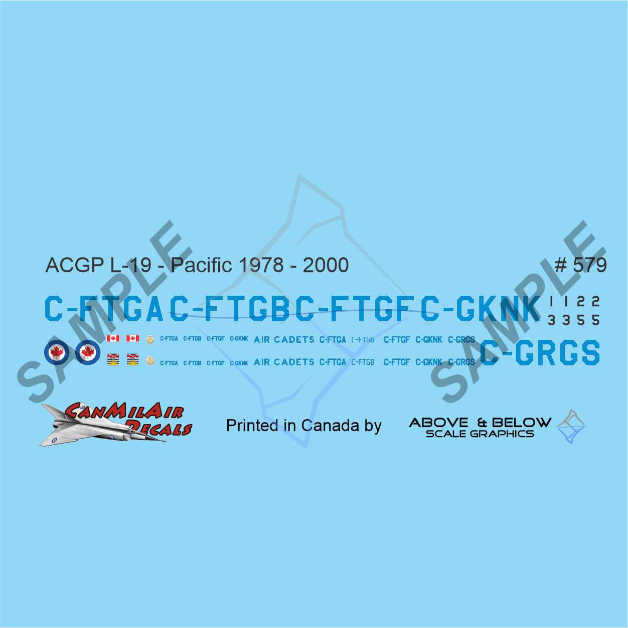 579 - Cessna L-19A/E Bird Dog - ACGP Pacific Region (1978-2000)