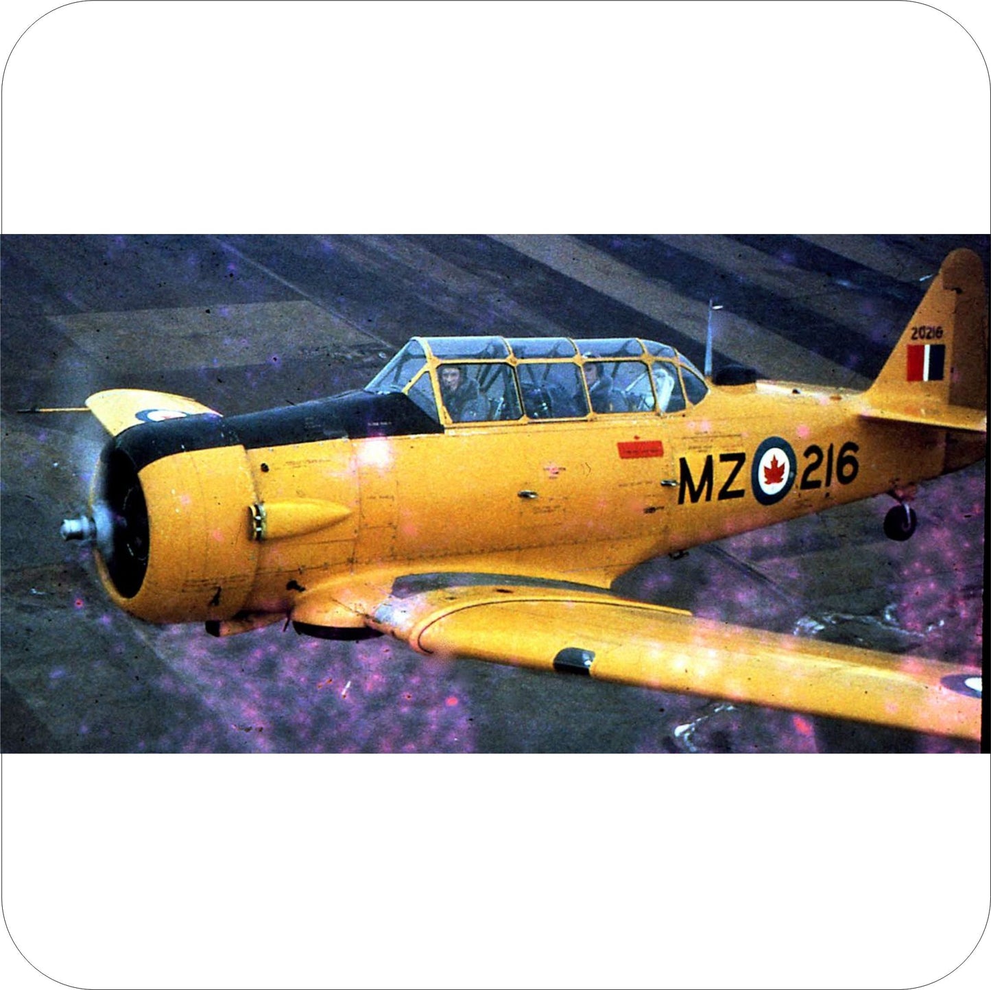 427 - North American Harvard Mk.4 (1956)