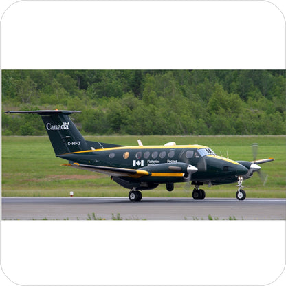 534 - Beechcraft 200 Super King Air - PAL DFO (2005)