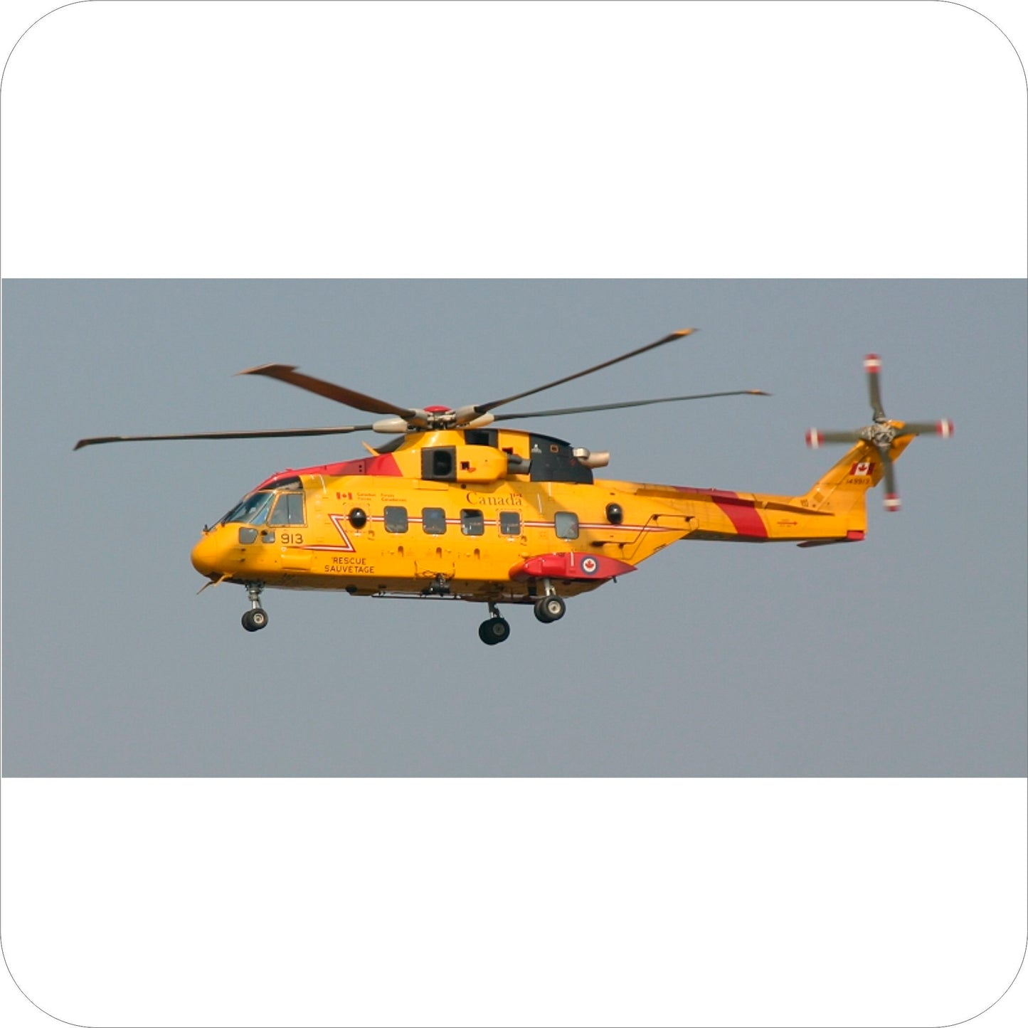 238 - Agusta Westland CH-149 Cormorant