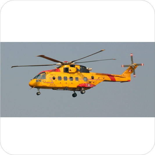 238 - Agusta Westland CH-149 Cormorant