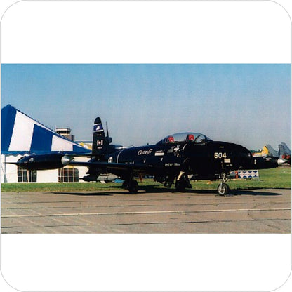 210 - Canadair CT-133 Silver Star - 434 Sqn - FIP Black Scheme (2000)