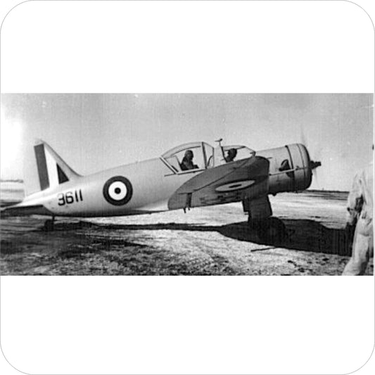 479 - Fleet Model 60 Fort - BCATP (1943)