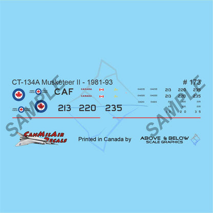 173 - Beechcraft CT-134A Musketeer II / Sundowner - SYM (1981-93)