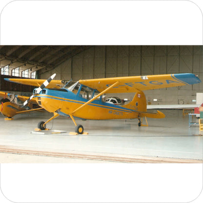 579 - Cessna L-19A/E Bird Dog - ACGP Pacific Region (1978-2000)