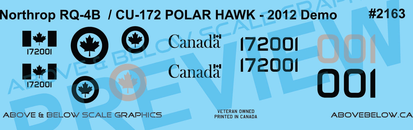 2163 - Northrop MQ-4C / CU-172 Polar Hawk