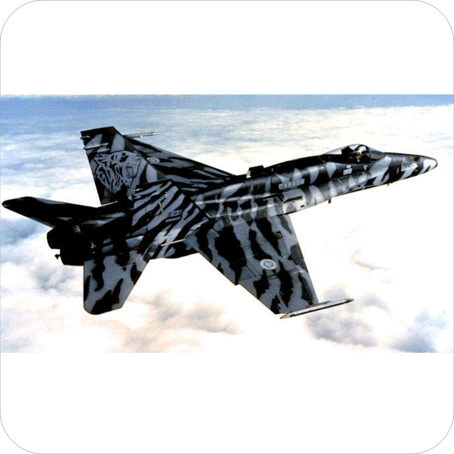 271 & 272 - McDonnell Douglas CF-188 Hornet - 439 Sqn - Tiger Meet (1991)