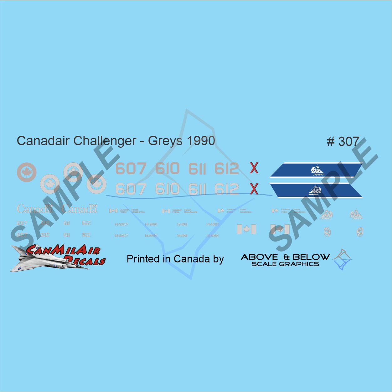 307 - Canadair Challenger 600 / CC & CE-144 - FIP Converse Grey