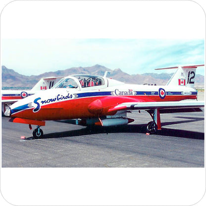 222 - Canadair CT-114 Tutor -  Snowbirds (1993-1995)