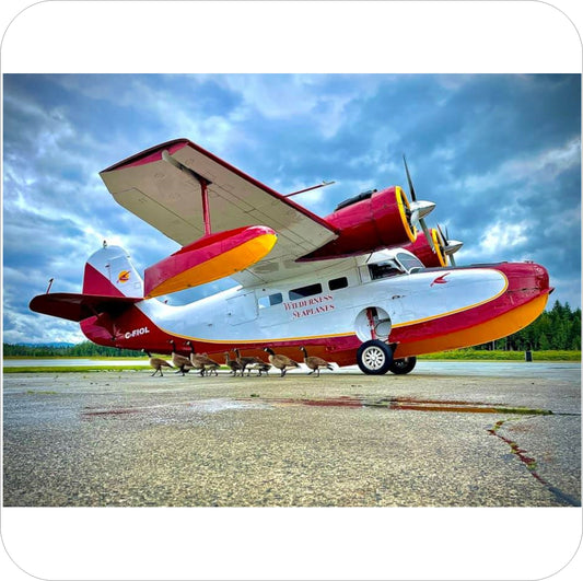 2094 - Grumman G-21A Goose - Wilderness Seaplanes