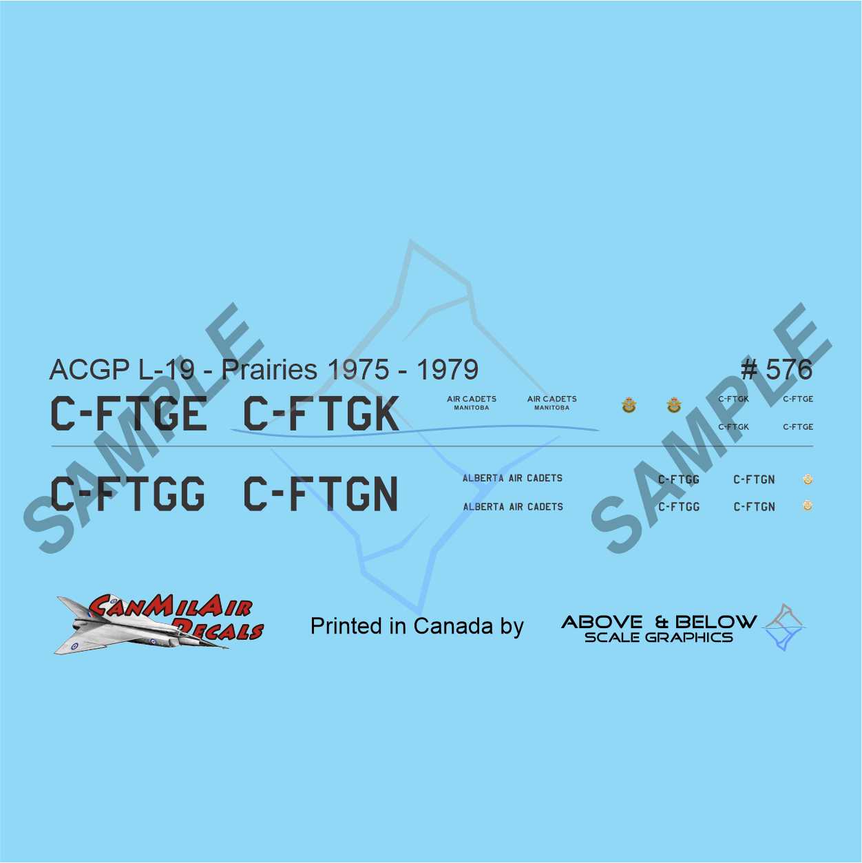 576 - Cessna L-19A/E Bird Dog - ACGP Prairie Region (1975-79)