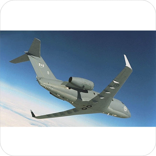 307 - Canadair Challenger 600 / CC & CE-144 - FIP Converse Grey