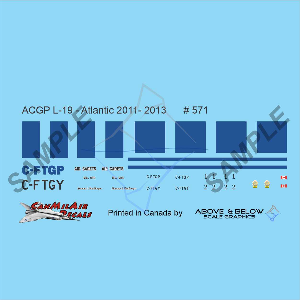571 - Cessna L-19A/E - ACGP Atlantic Region (2011-2013)