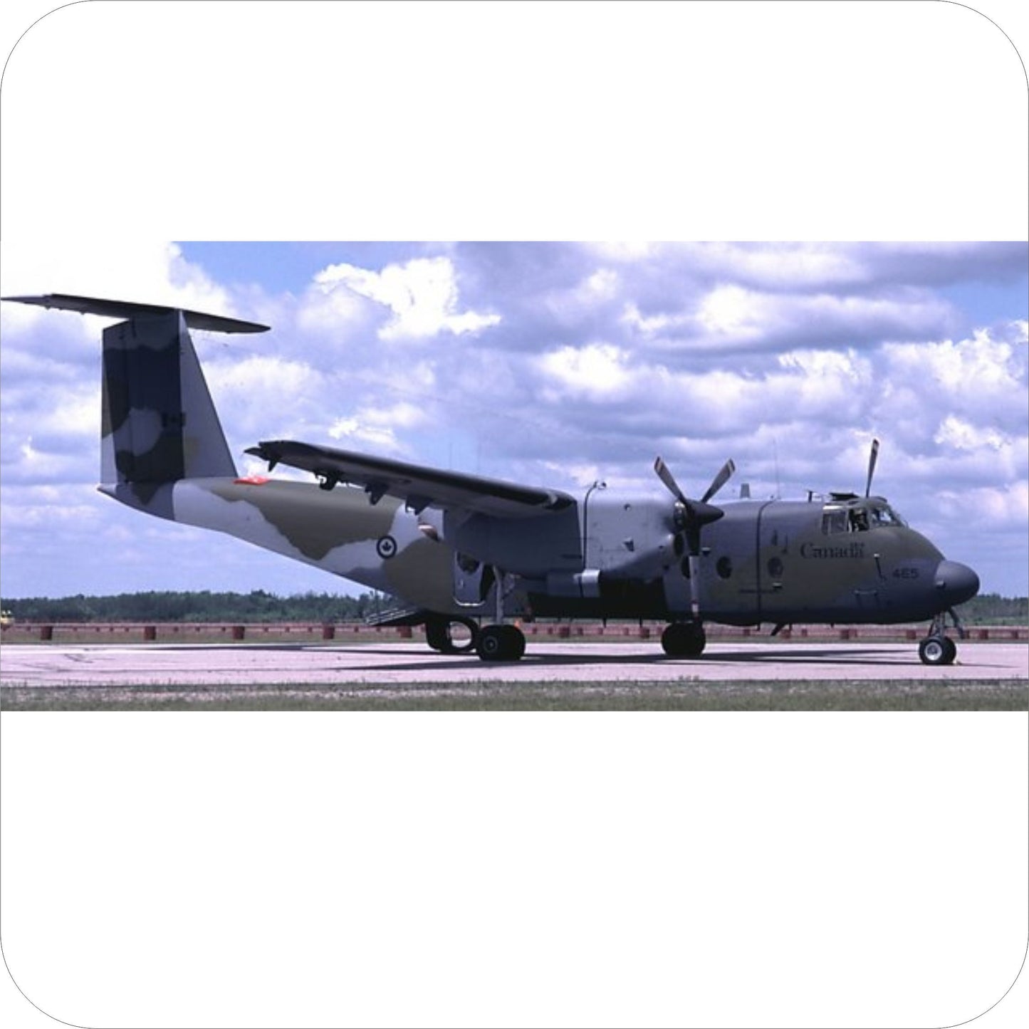 143 - DeHavilland Canada CC-115 Buffalo - FIP Camo (1983+)