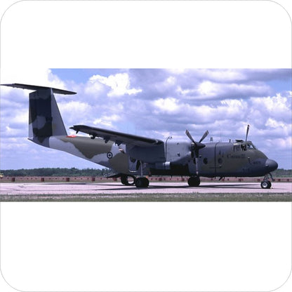 143 - DeHavilland Canada CC-115 Buffalo - FIP Camo (1983+)