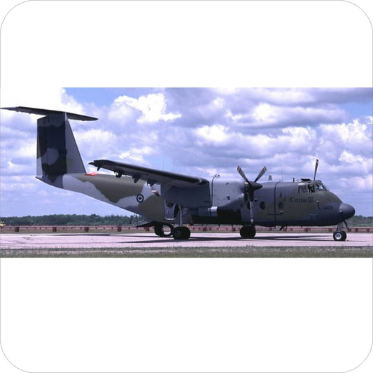 143 - DeHavilland Canada CC-115 Buffalo - FIP Camo (1983+)