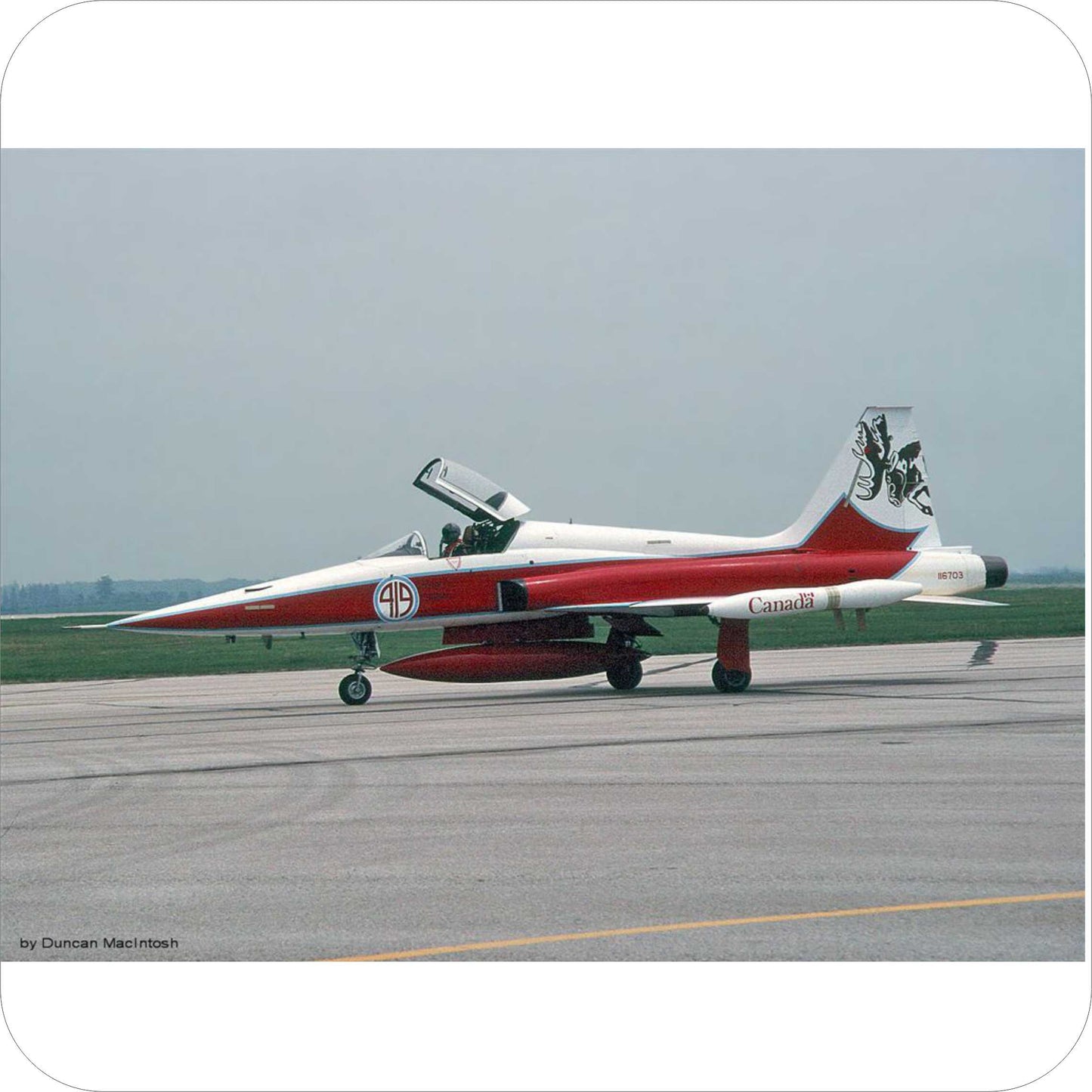 396 - Canadair CF-5 / CF-116 - 419 Sqn - 1989 Special "Bruce the Moose"