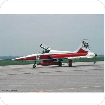 396 - Canadair CF-5 / CF-116 - 419 Sqn - 1989 Special "Bruce the Moose"