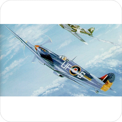 094 - Spitfire Mk V - 249 Sqn (1942) "Demon of Malta"