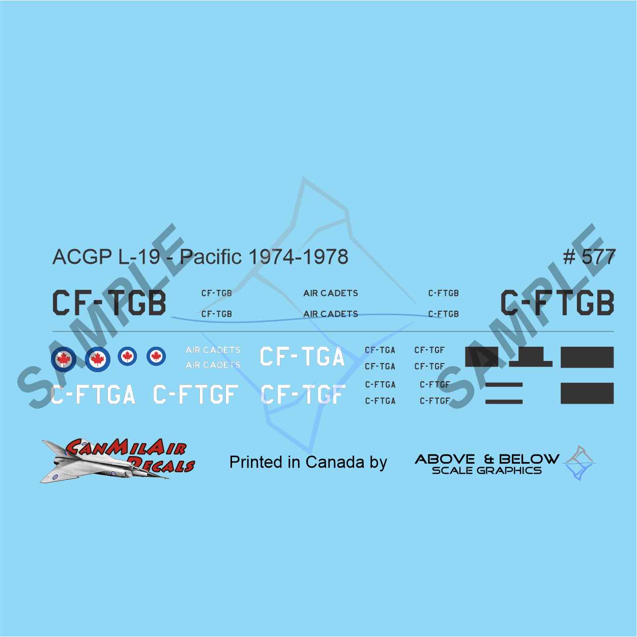 577 - Cessna L-19A/E Bird Dog - ACGP Pacific Region (1974-1978)
