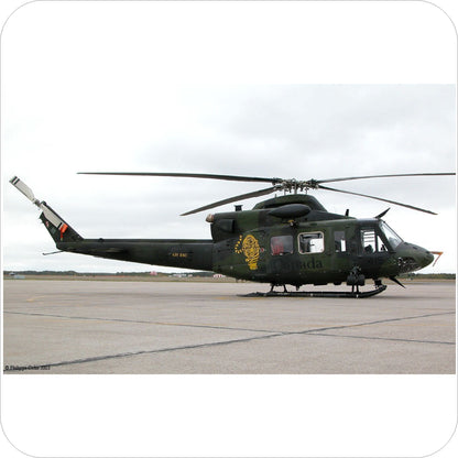 601 - Bell CH-146 Griffon - 439 Sqn - Tiger Meet (2003)