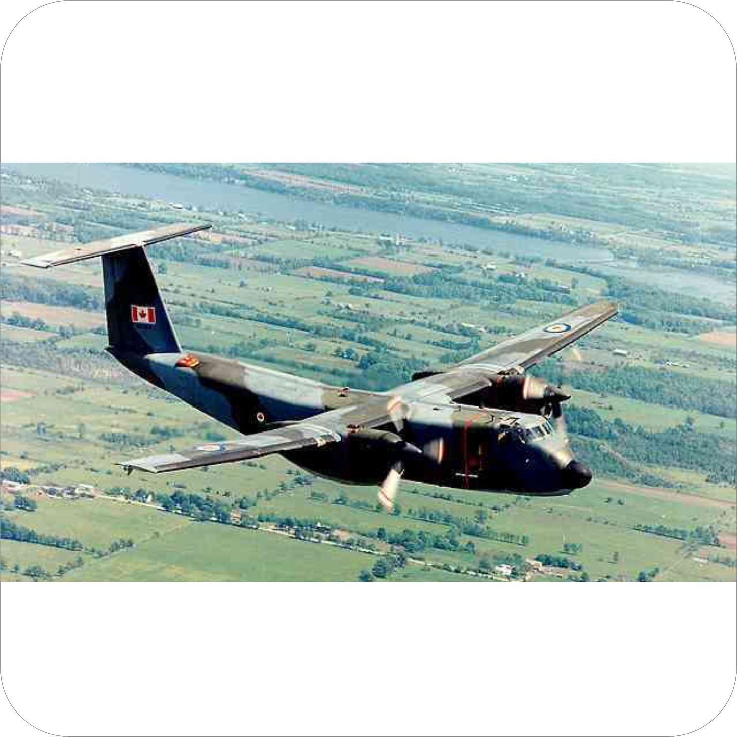 138 - DeHavilland Canada CC-115 Buffalo - CAF Camo (1968-73)