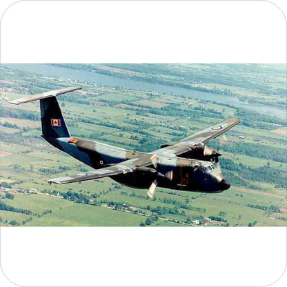 138 - DeHavilland Canada CC-115 Buffalo - CAF Camo (1968-73)
