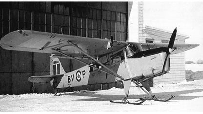 560 - Taylorcraft AOP-6 Auster (1948-51)