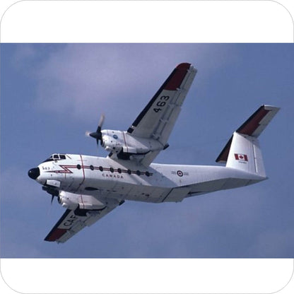 141 -  DeHavilland Canada CC-115 Buffalo - SYM White (1973-83)